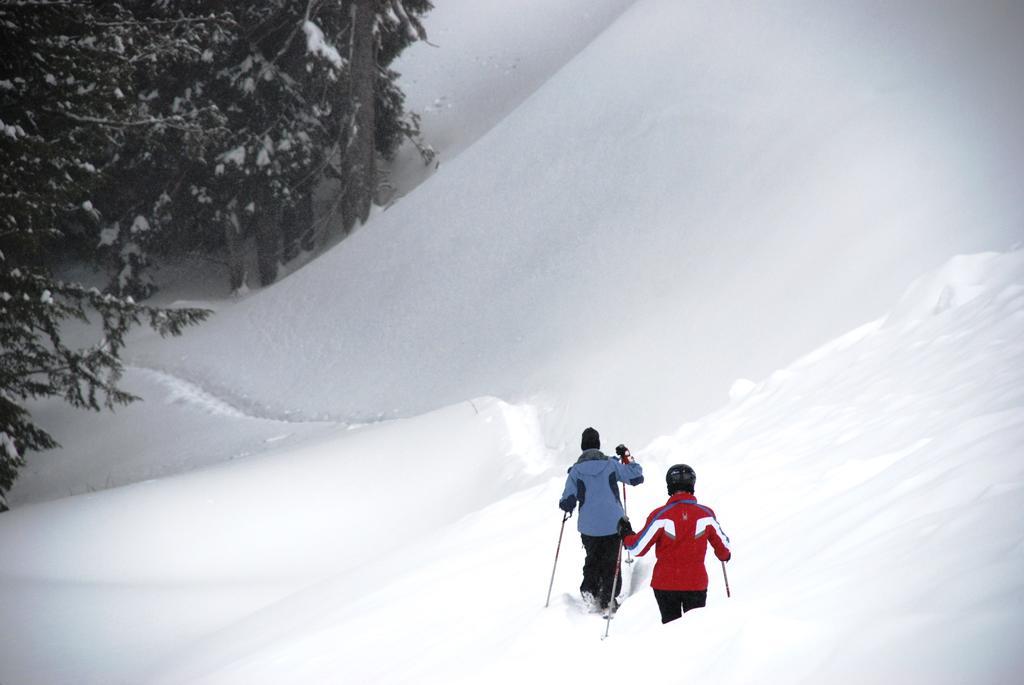 Schweitzer Mountain Resort White Pine Lodge Sandpoint Dış mekan fotoğraf